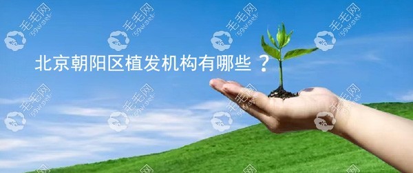 北京朝阳区植发机构有哪些？
