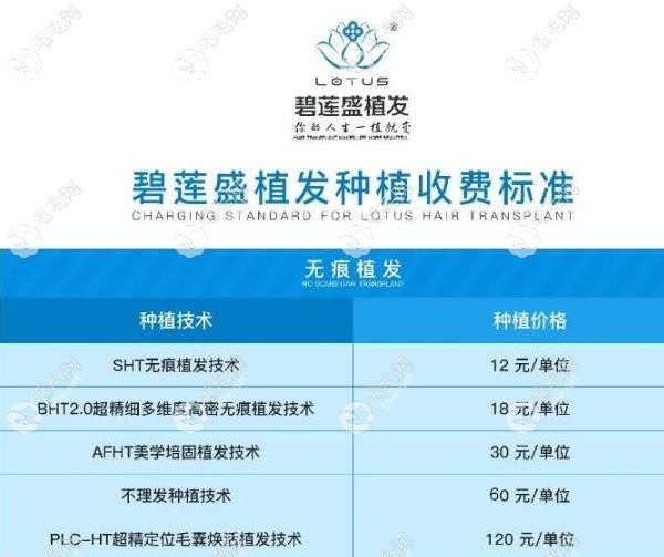 珠海碧莲盛植发价格是：12-120元起一个单位
