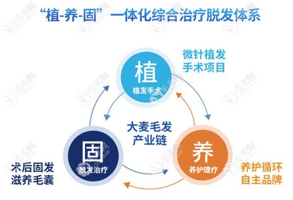一體化綜合治療脫發(fā)體系