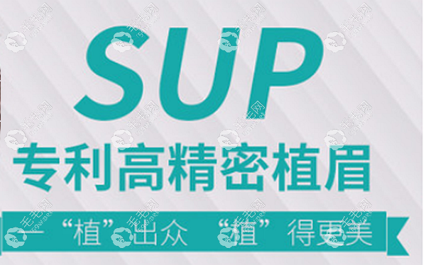 廣州荔醫(yī)SUP高精密植眉
