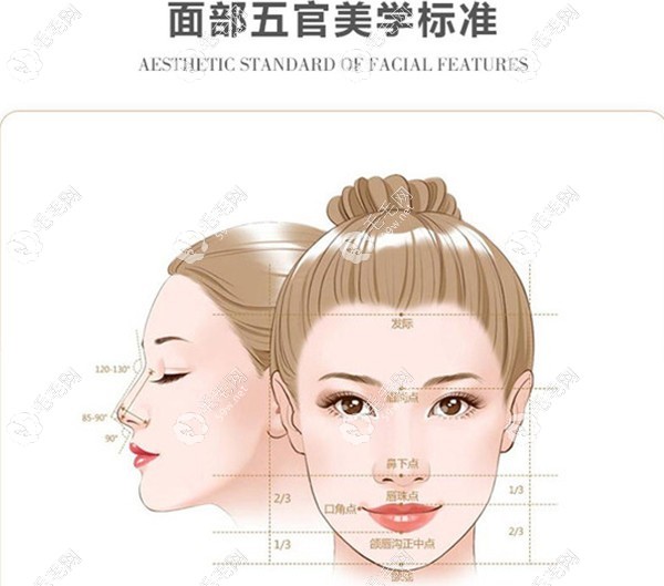 尹梓贻的美学设计理念