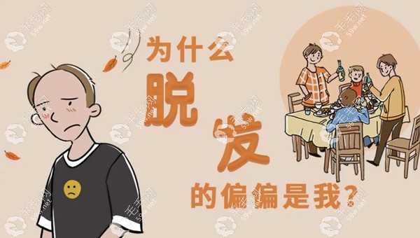 柳屋生发液适合脂溢性脱发吗？
