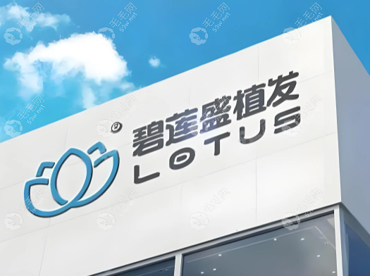 2025年厦门碧莲盛植发价格表大公开
