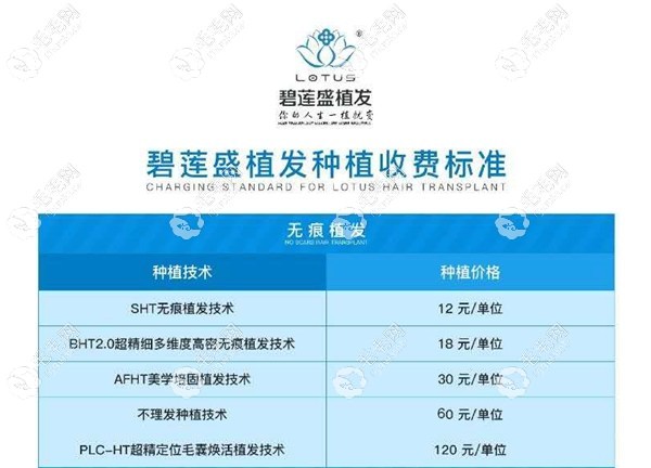 碧蓮盛植發(fā)收費標準