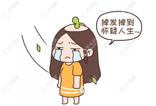 丽水植发医院哪家强？丽水植发医院排名公布