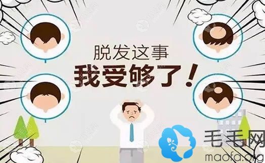 雄性激素脫發(fā)是每個(gè)發(fā)友們的煩惱