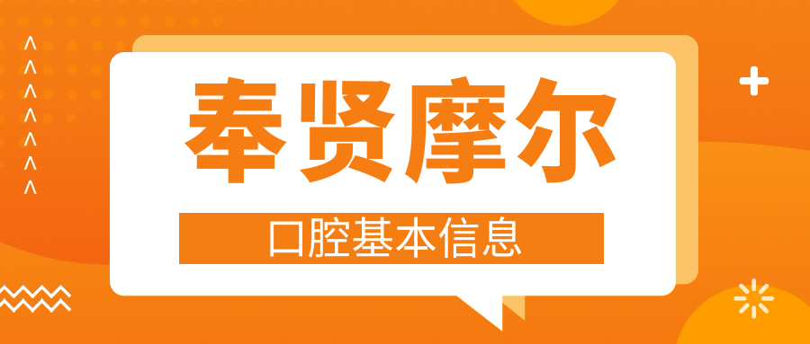 奉賢摩爾口腔基本信息