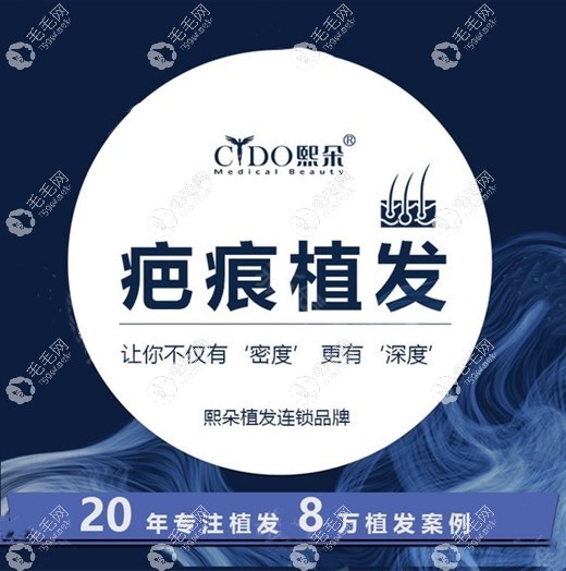 保定熙朵CHT疤痕植发