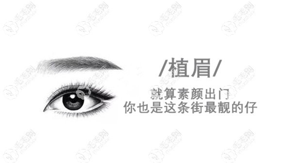 常州美贝尔开展的毛发项目有眉毛种植、胡须种植