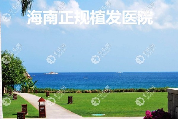 海南正规植发医院排名榜单