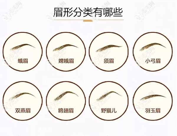 种植眉毛的形态有哪些