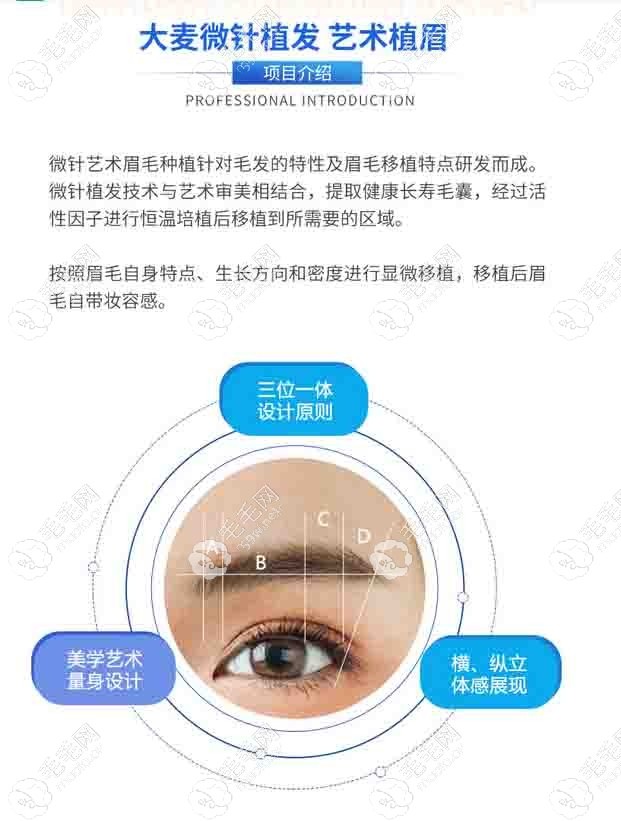 大麦微针植发艺术植眉