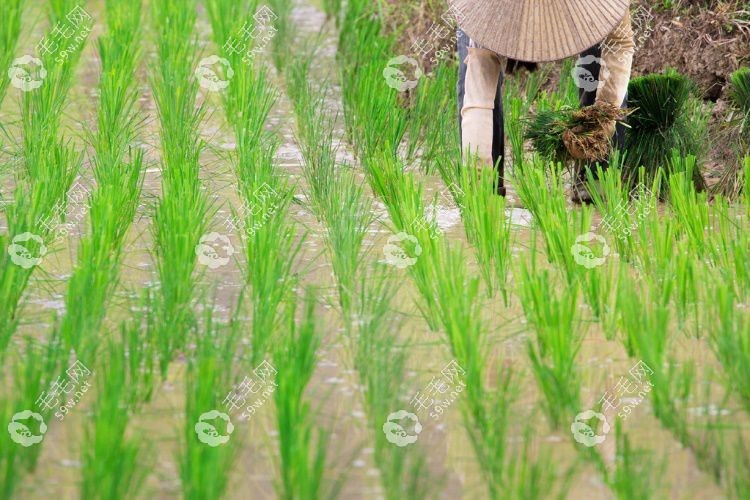 发缝变宽还有办法恢复喔