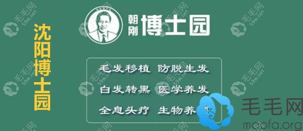 沈阳博士园植发