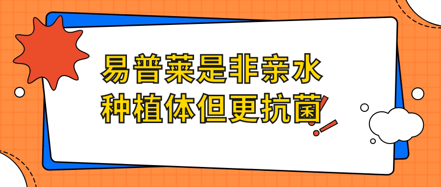 易普莱是非亲水种植体但更抗菌