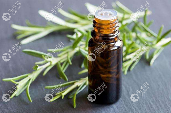 外用迷迭香精油治疗m型脱发