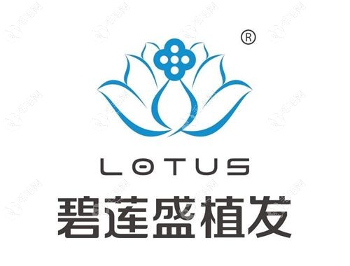 碧莲盛植发连锁