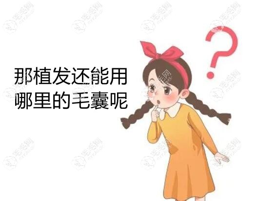 那植发还能用哪里的毛囊呢