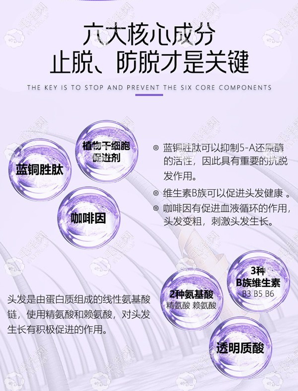 生发固发小魔瓶的生发防脱成分