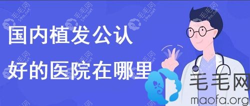 国内公认好的植发医院名单