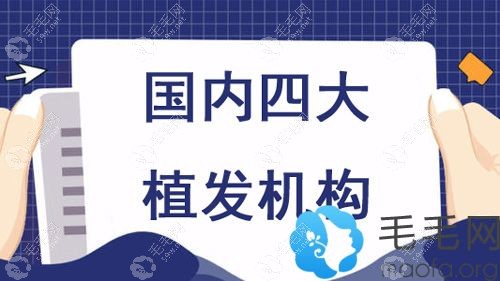 国内四大植发机构