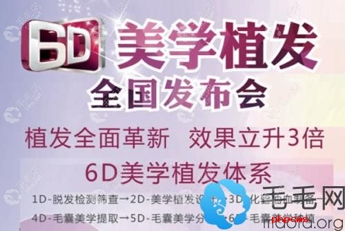 瑞丽诗MHT-6D精细化无痕植发技术