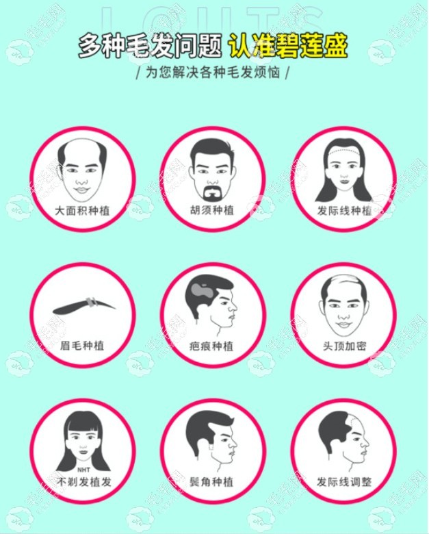 碧莲盛植发项目众多