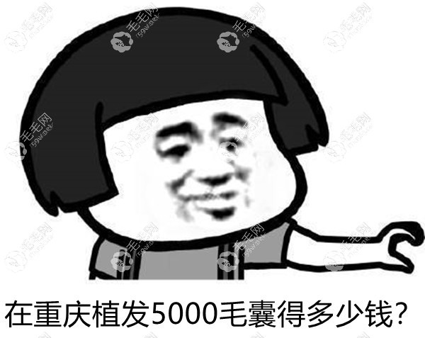 在重慶植5000毛囊多少錢