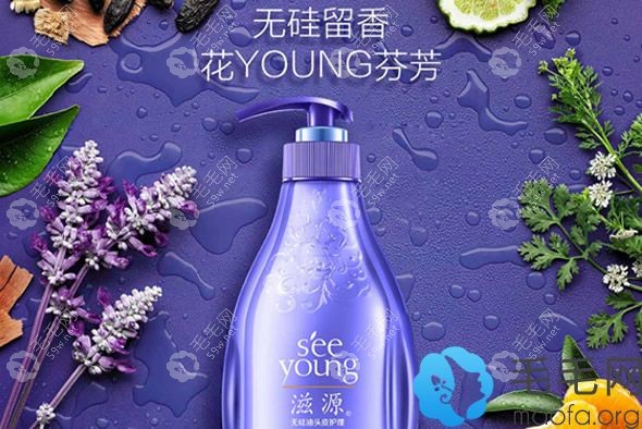 韓植物精油的洗發(fā)水能很好的護理頭發(fā)