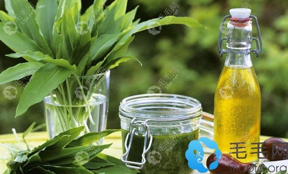 橄欖油使頭發(fā)柔順有光澤