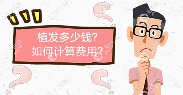 南平種植頭發(fā)收費(fèi)標(biāo)準(zhǔn)是多少錢www.haoxiangquan.cn