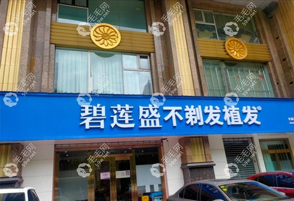 西宁碧莲盛植发毛毛网