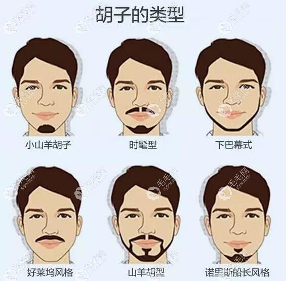 胡子類型分類