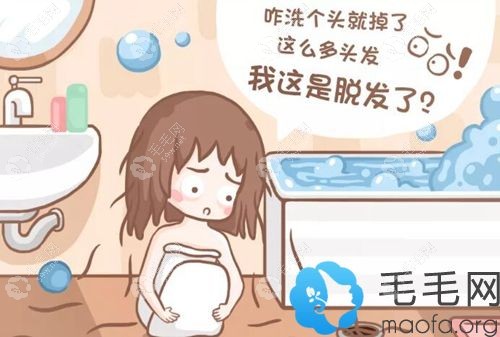 植发后需要吃保法止吗