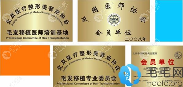 北京中德毛發(fā)移植院所獲榮譽證書