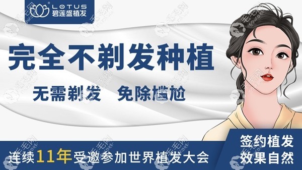 碧蓮盛nht不剃發(fā)植發(fā)多少錢一個(gè)單位