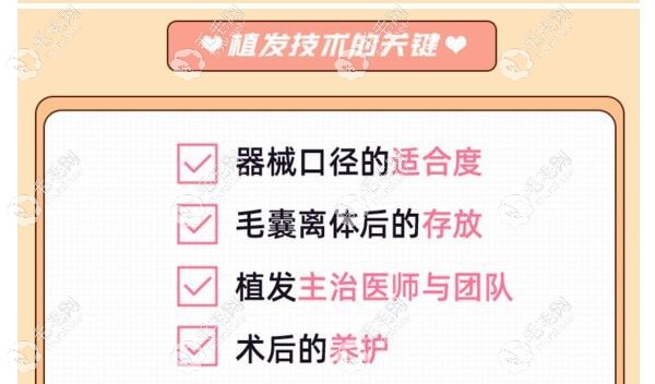 碧蓮盛bht植發(fā)技術(shù)價(jià)格