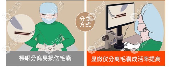 TDDP技术采用高倍显微镜