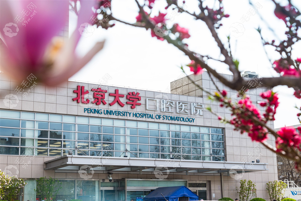 北大口腔正畸价目表