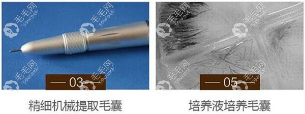 北京壹加壹植眉儀器