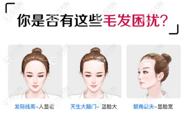 江蘇淮安華美種植項(xiàng)目齊全