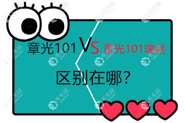 章光101和章光101瑞絲的區(qū)別