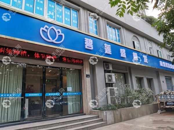 杭州碧莲盛植发际线价格