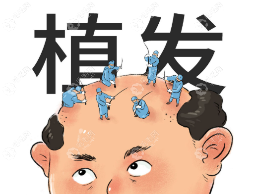 北京植發(fā)公立醫(yī)院哪家好