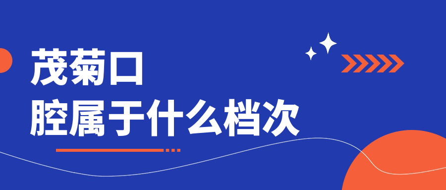 茂菊口腔属于什么档次