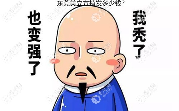 东莞美立方植发价格表