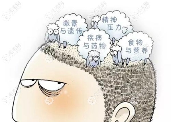 来看看脱发的原因是啥