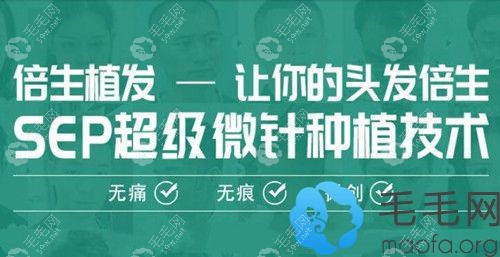 SEP超級微針種植技術(shù)