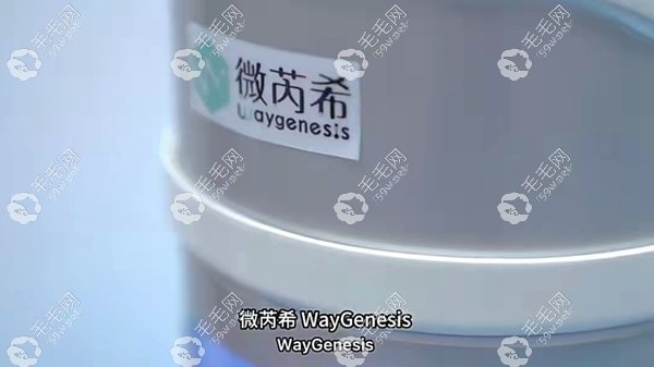 微芮希微移植生發(fā)手術(shù)