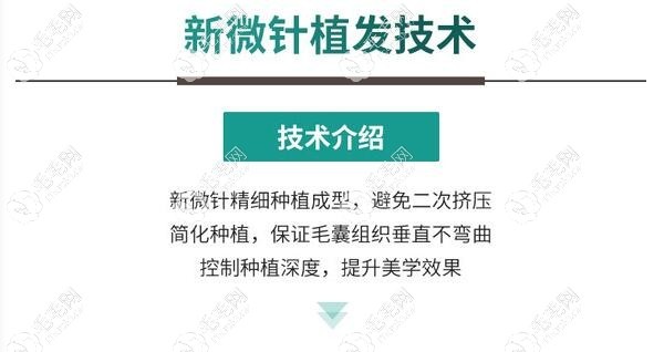 新生植發(fā)1500單位多少錢